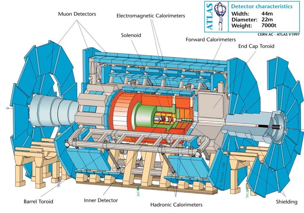 Atlas Detector cut out section diagram.