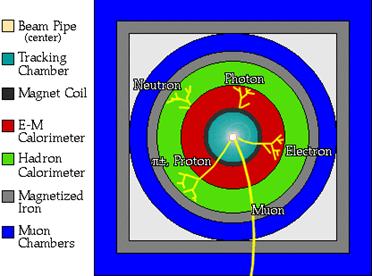 Graphic showing beam pipe cross section.