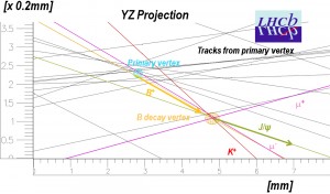 Y-Z graph showing track paths