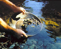 panning for gold