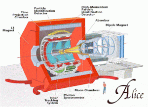 Cut away cross section of the Alice detector.